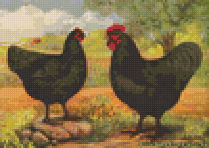 домашние птицы - предпросмотр