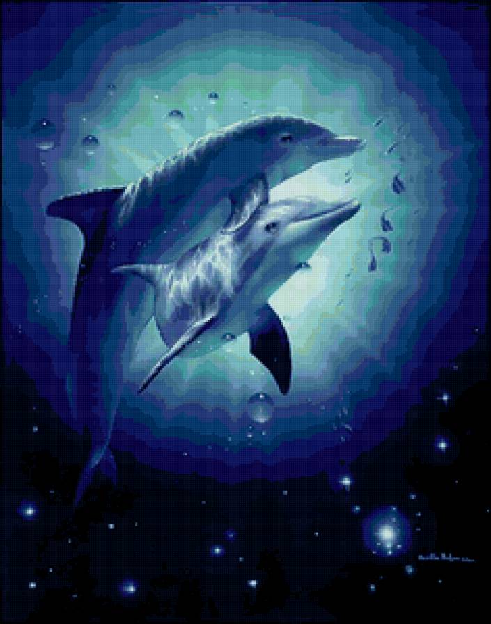 Дельфина - животные, море, природа, дельфины, рыбы - предпросмотр