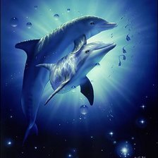 Схема вышивки «Дельфина»