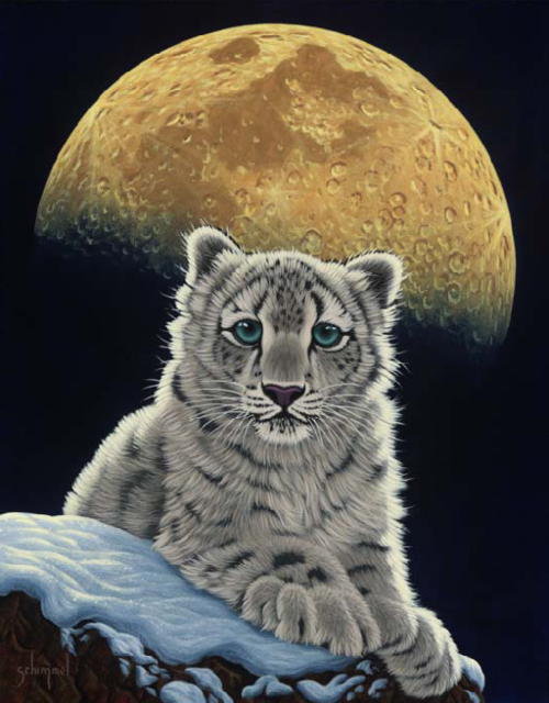 красавец - животные - оригинал