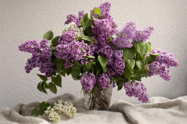 Сирень - цветы в вазе - оригинал