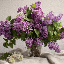 Схема вышивки «Сирень»