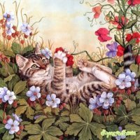 Схема вышивки «кошка в цветах»