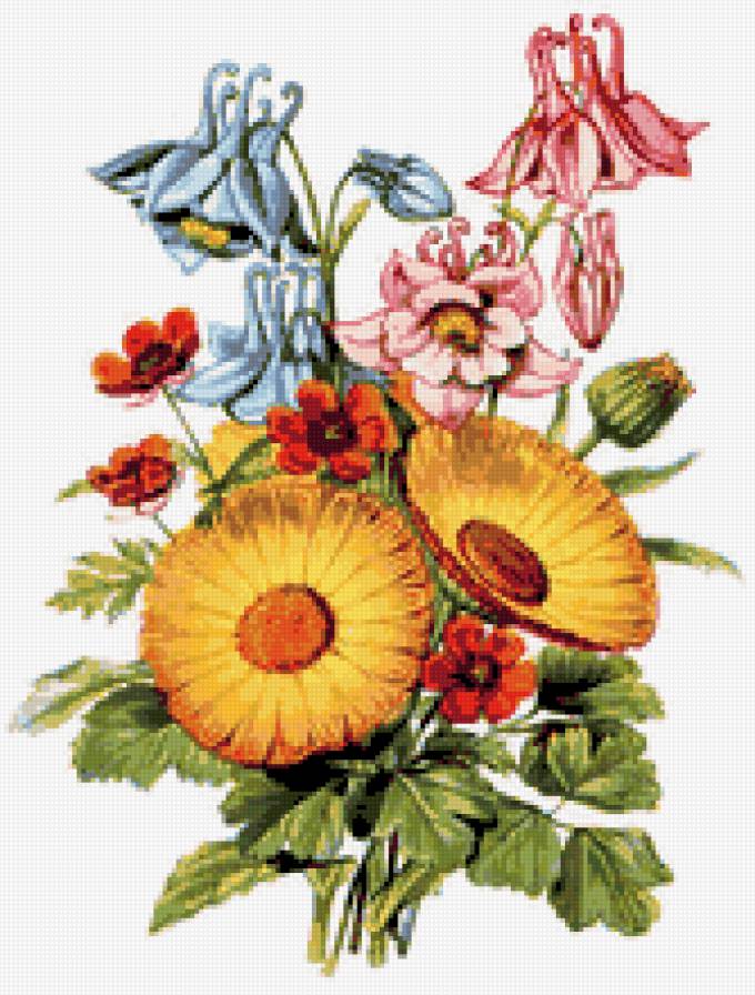 №16361 - предпросмотр