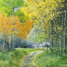 Схема вышивки «Березки»