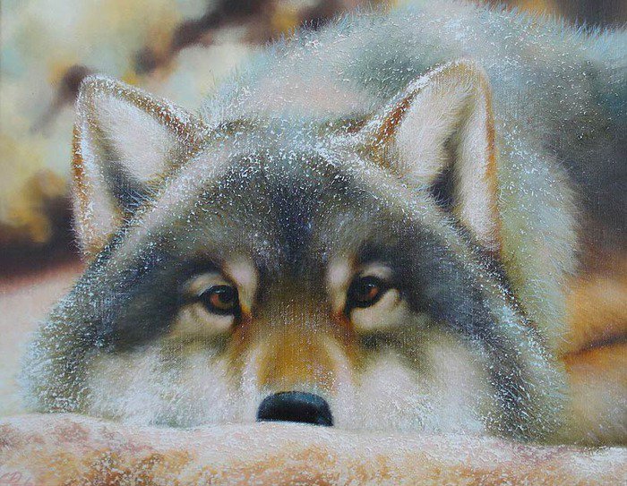 Рева Анималист - животные - оригинал