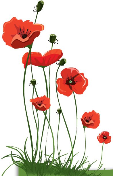 маки - оригинал