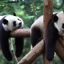 Схема вышивки «№16690»