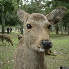 Схема вышивки «№16854»