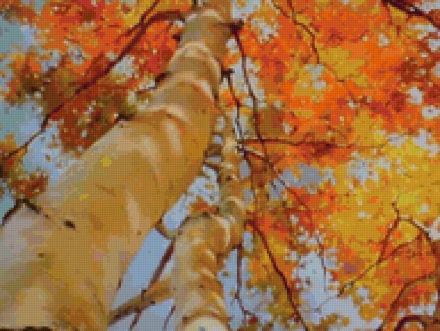 осень - пейзаж, природа - предпросмотр