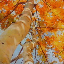 Схема вышивки «осень»