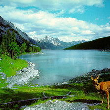 Схема вышивки «Природа»