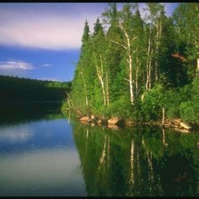 Схема вышивки «Природа»