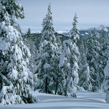 Схема вышивки «Зима»