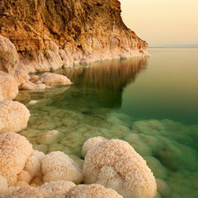 Схема вышивки «природа»