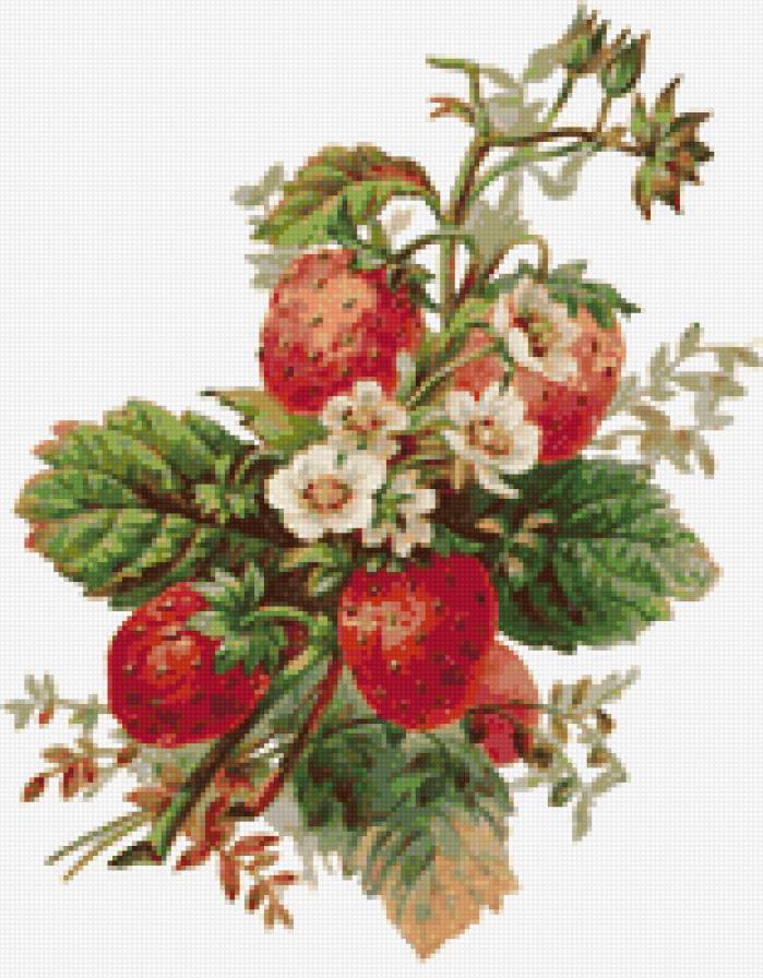 клубничка - цветы.ягоды.клубника - предпросмотр