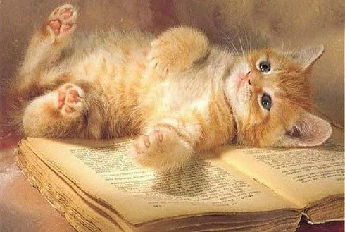 №17202 - кошка - оригинал