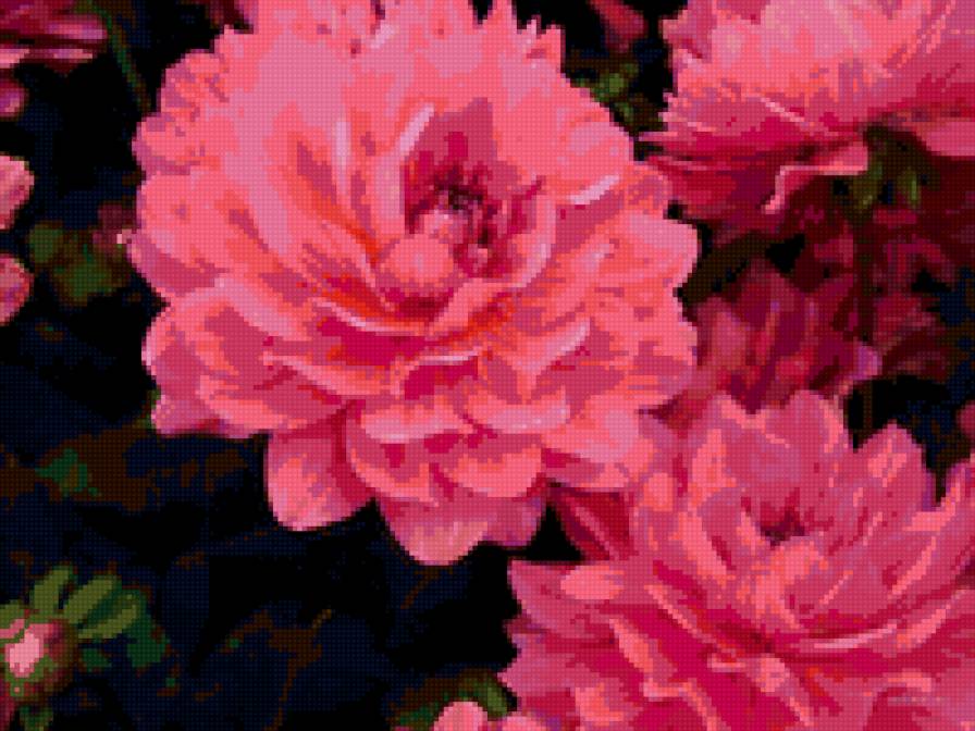 Подушка "Георгины" - подушка, цветы, георгины - предпросмотр