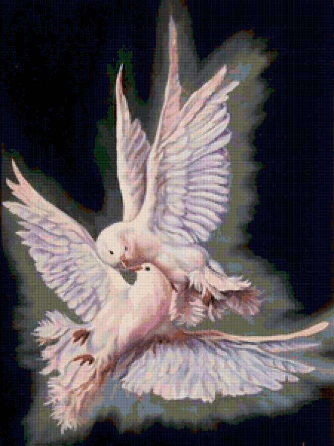 Голуби - птицы. голуби - предпросмотр