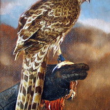 Схема вышивки «Хищник»