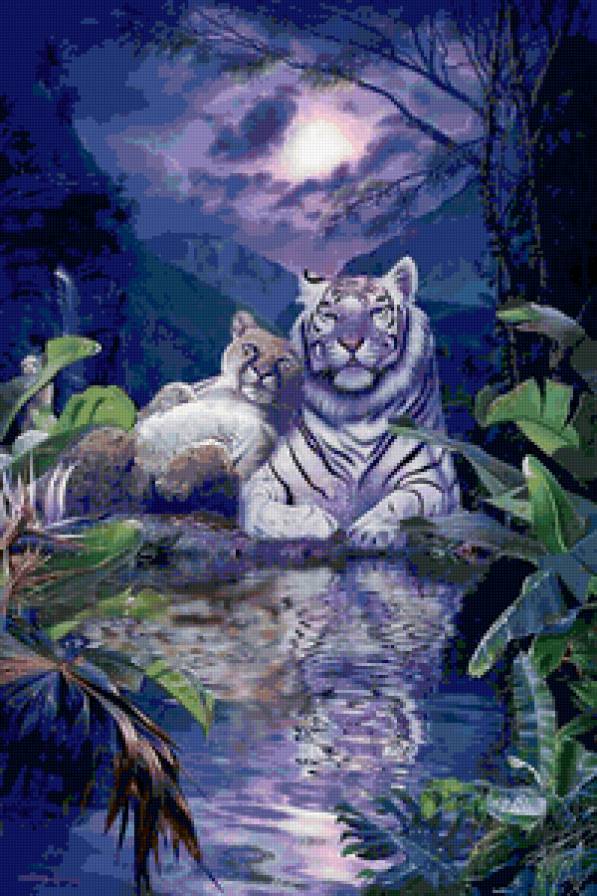 Тигр - предпросмотр