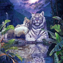 Схема вышивки «Тигр»