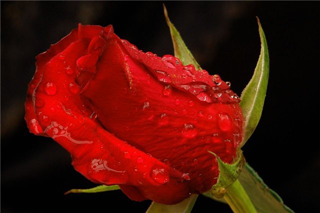 №17840 - оригинал