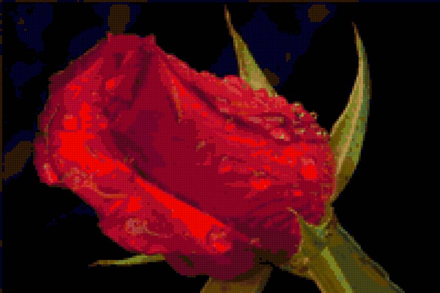 №17840 - предпросмотр