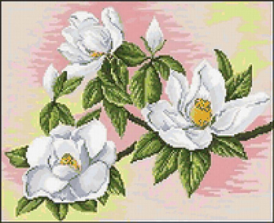 №17855 - предпросмотр