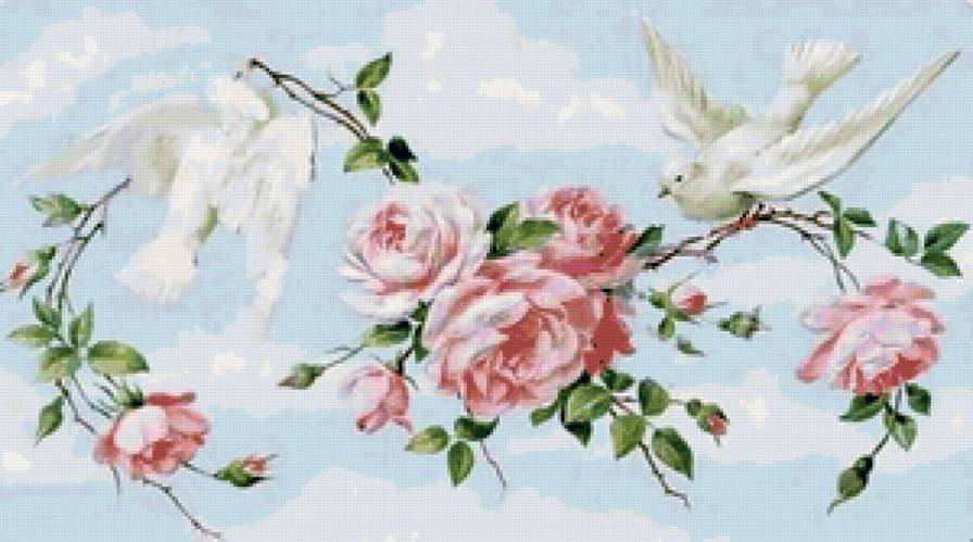 Голуби - птицы. голуби - предпросмотр