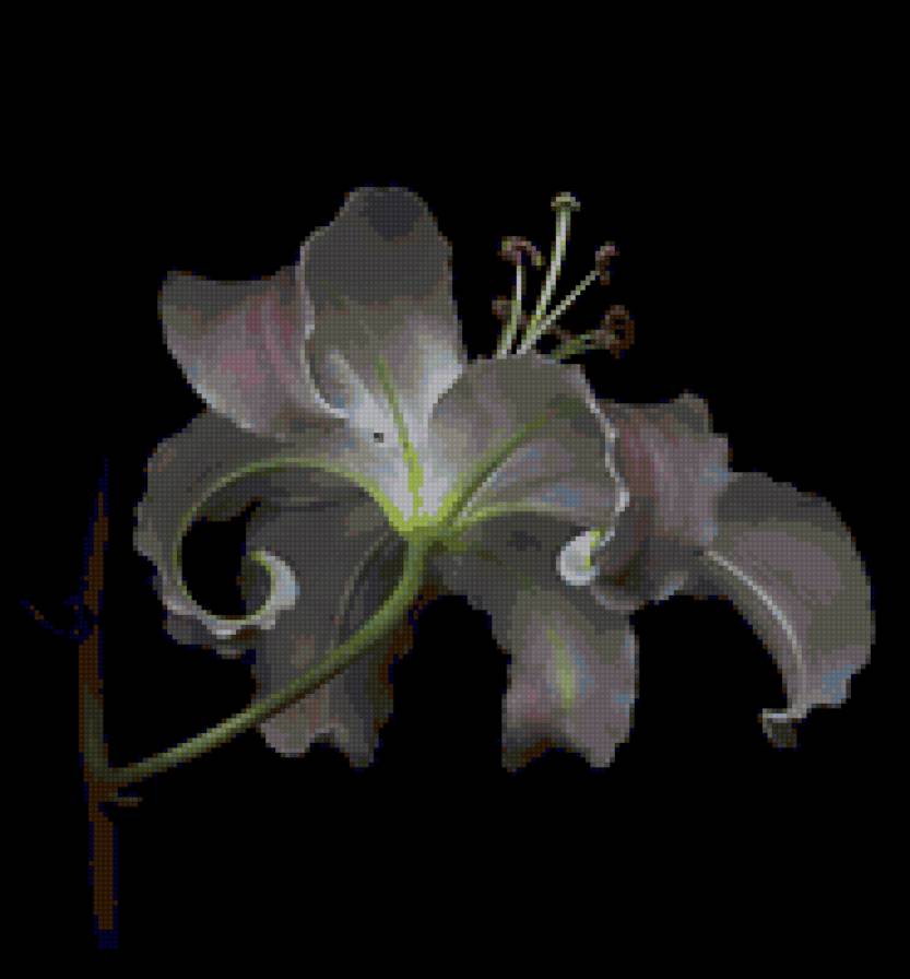 №17875 - предпросмотр