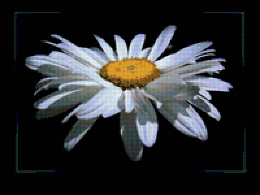 №17897 - предпросмотр