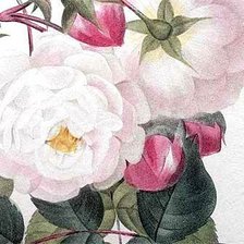 Схема вышивки «Розы»