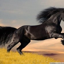 Схема вышивки «№18034»