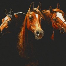 Схема вышивки «№18035»