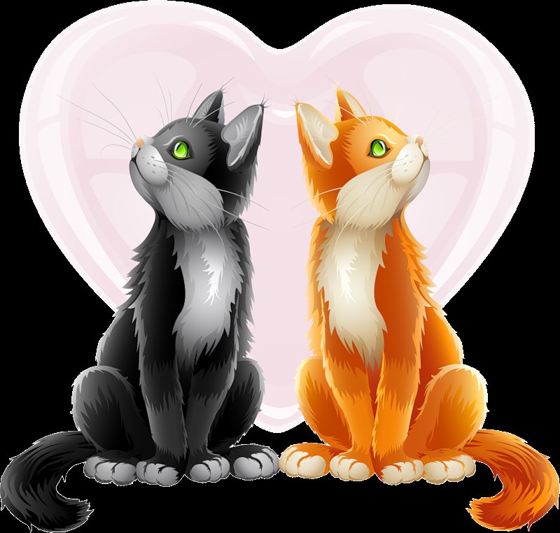 Поссорились - животные, коты, живопись - оригинал