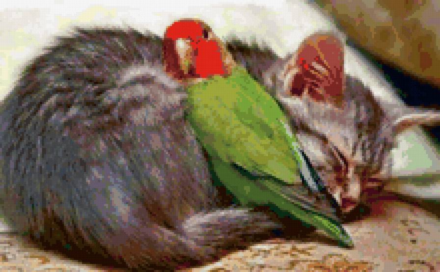 №18137 - предпросмотр