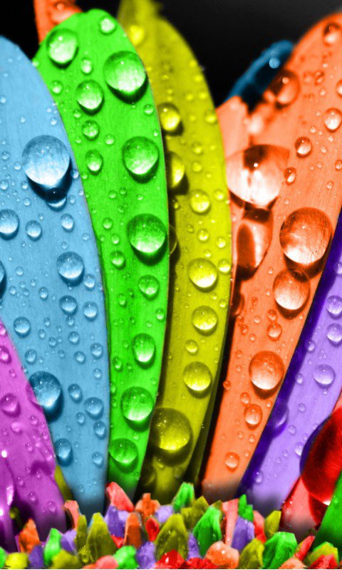 Цветок - оригинал