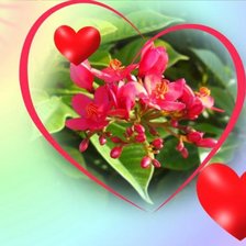 Схема вышивки «№ 245646»