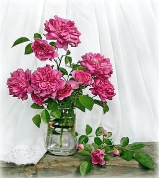 букет пионов - стакан, букет, пионы - оригинал