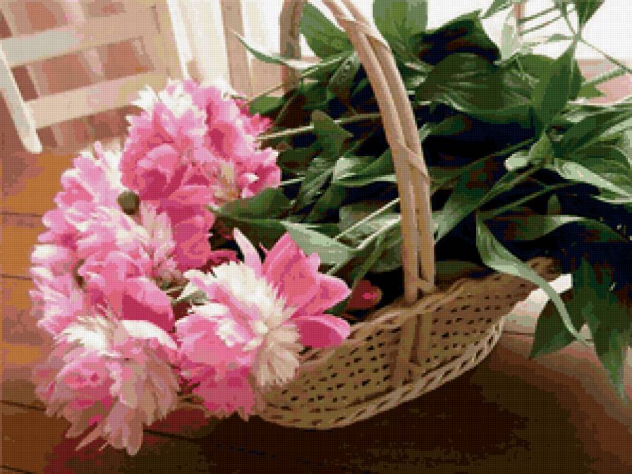 пионы в корзинке - пионы, корзина - предпросмотр