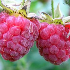 Схема вышивки «малинки»