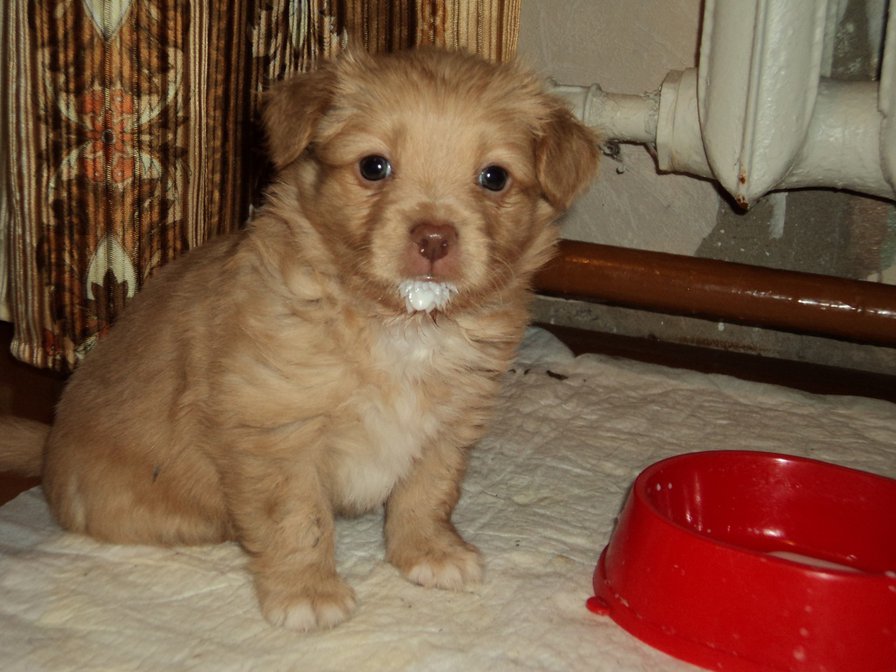 №18768 - оригинал