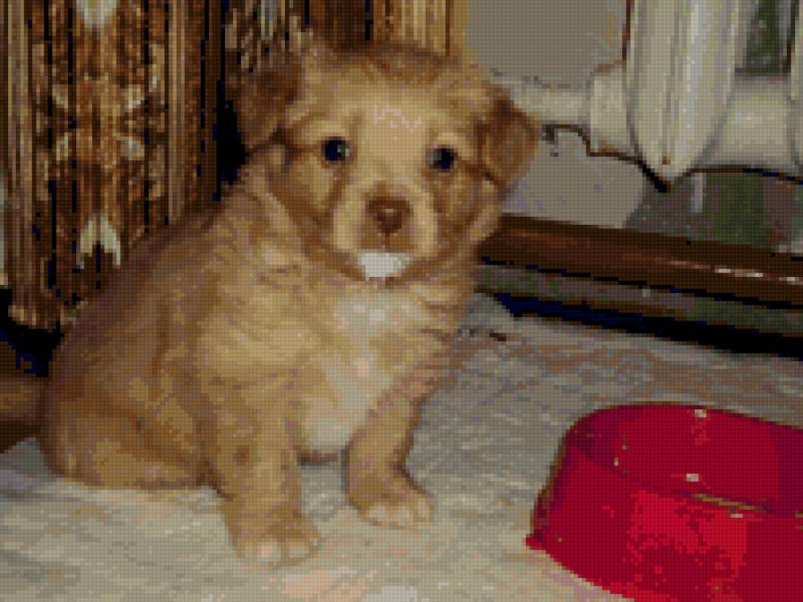 №18768 - предпросмотр