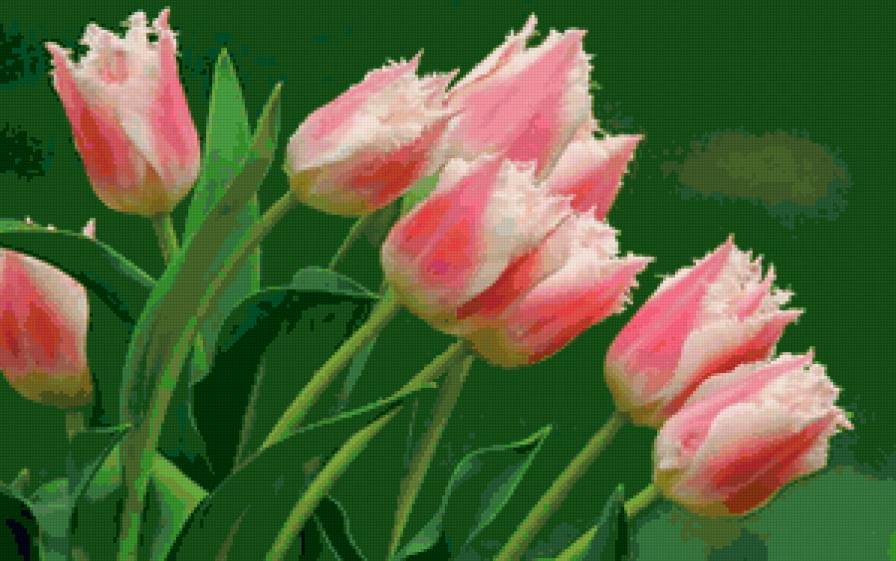 Цветы - цветы - предпросмотр