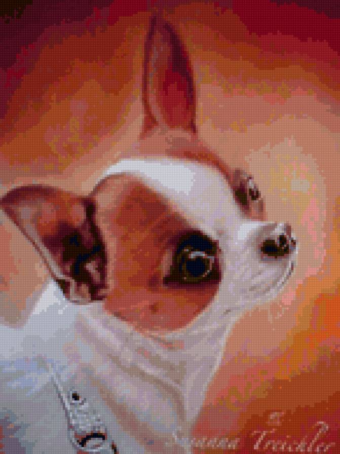 песик - природа, животные - предпросмотр