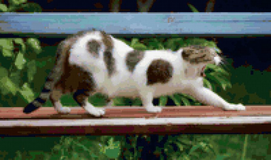 кот - котята, кошки, природа, животные - предпросмотр