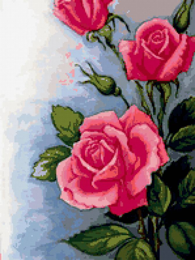 Роз - предпросмотр