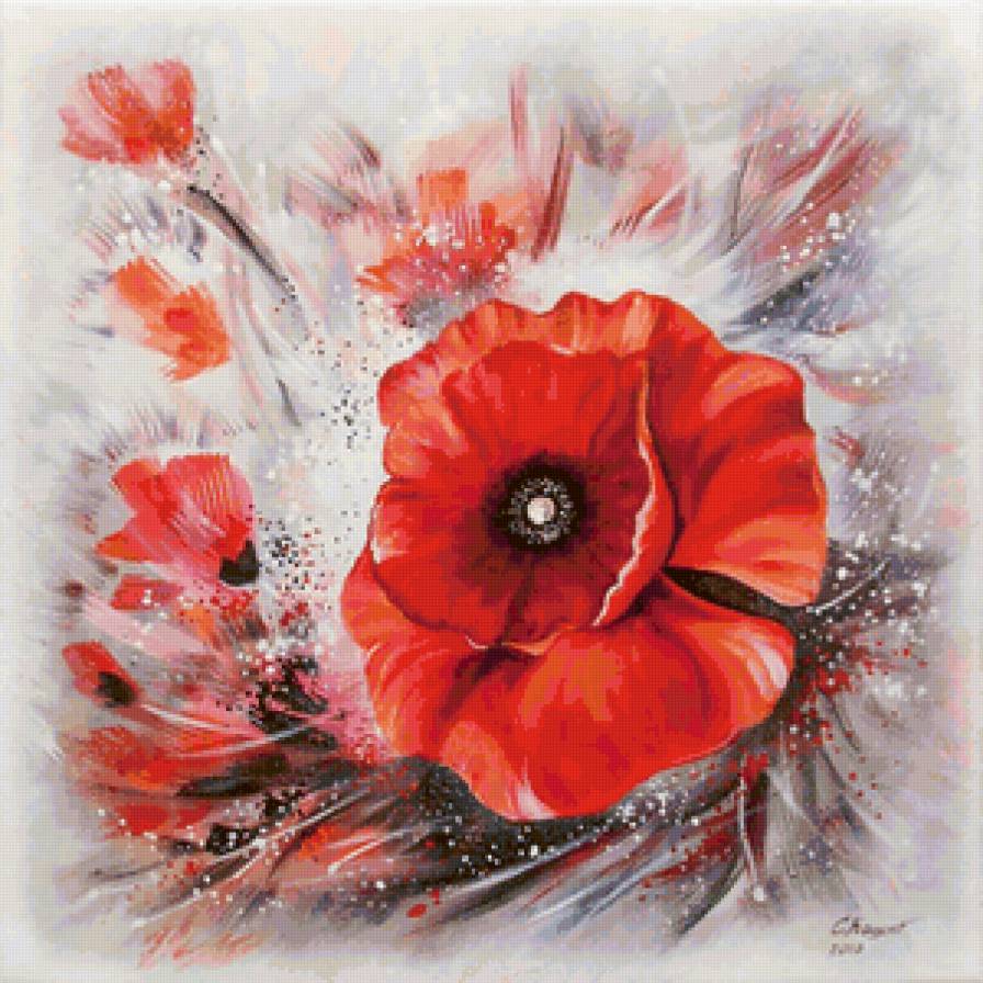 Маки - цветы - предпросмотр