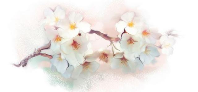 цветочки - цветы - оригинал